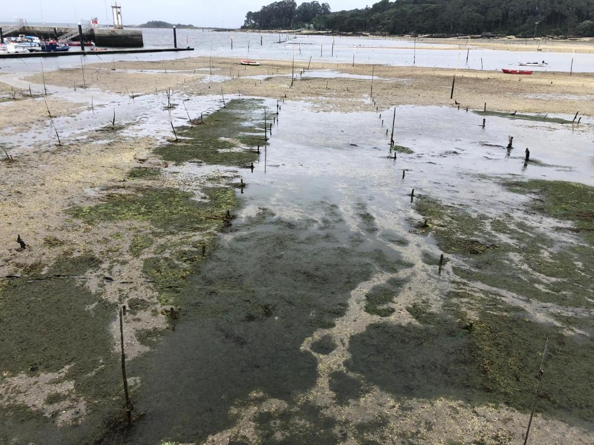 Alojamientos Rias Baixas- Casa Castillejos- Carril Vilagarcia de Arousa Esterno foto